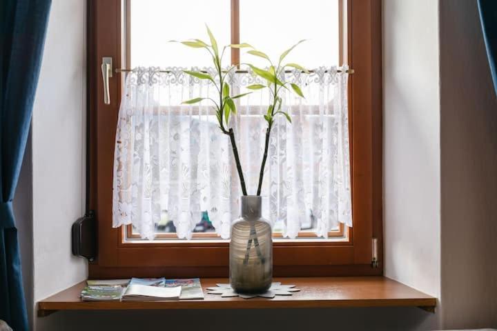 Vanek Apartment Kotschach-Mauthen ภายนอก รูปภาพ